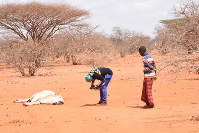 More than 82 million people suffer from food shortages in East and Central Africa