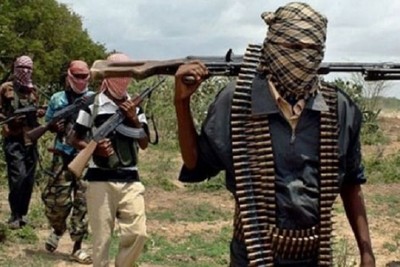 What role do Western countries play in the rise of terrorism in Africa?