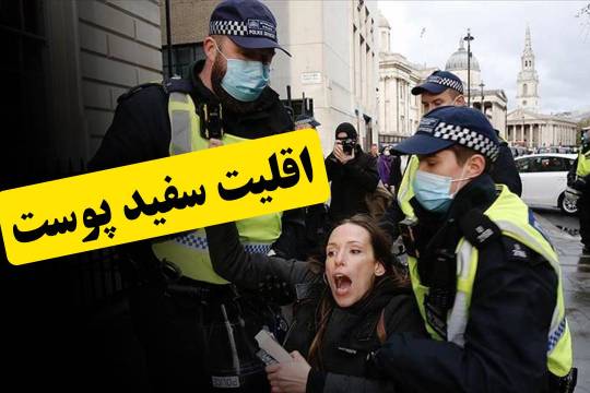 اقلیت سفید پوست