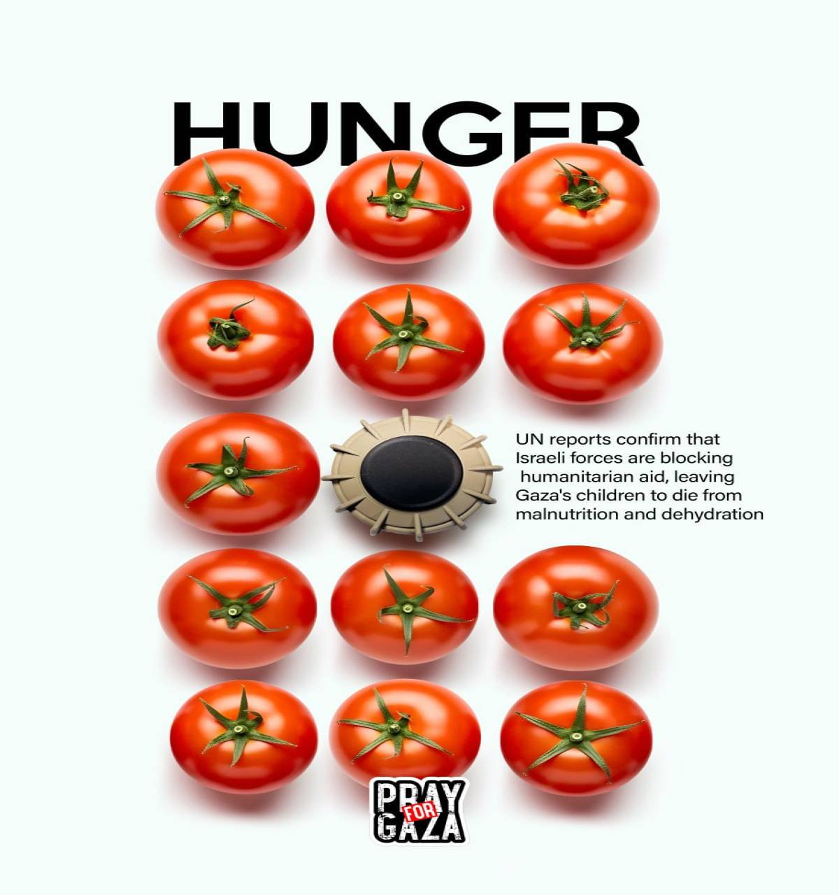 UN reports confirm that Israeli forces are blocking humanitarian aid