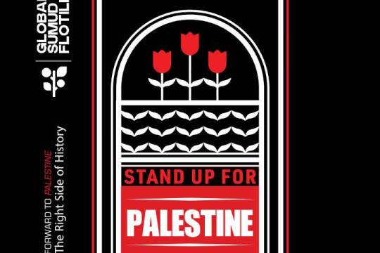 Stand up for Palestine