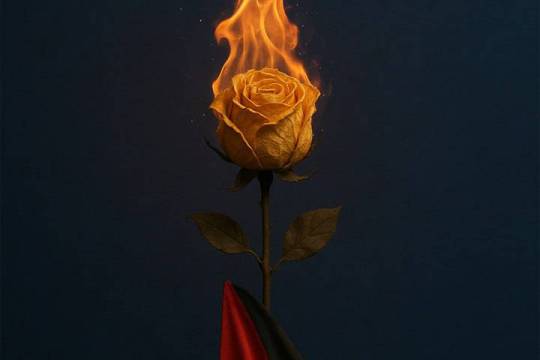 HASHTAGS WON’T FEED GAZA’S CHILDREN