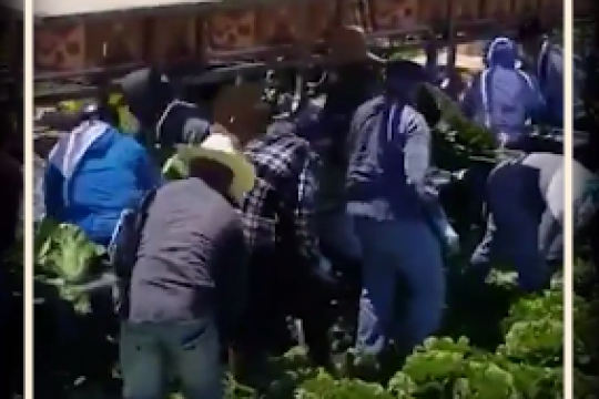 علاجی به نام پنهان کردن!