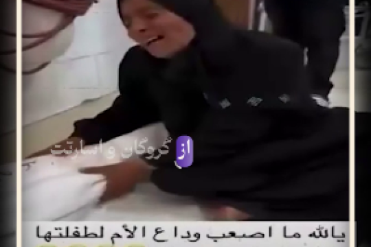 حمایتی درکار نیست