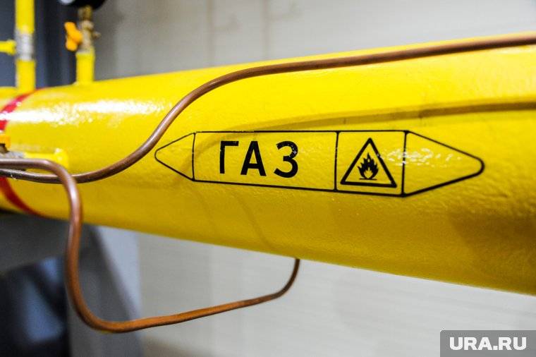 Стратегический союз России и Китая в рамках проекта «Сила Сибири-2»