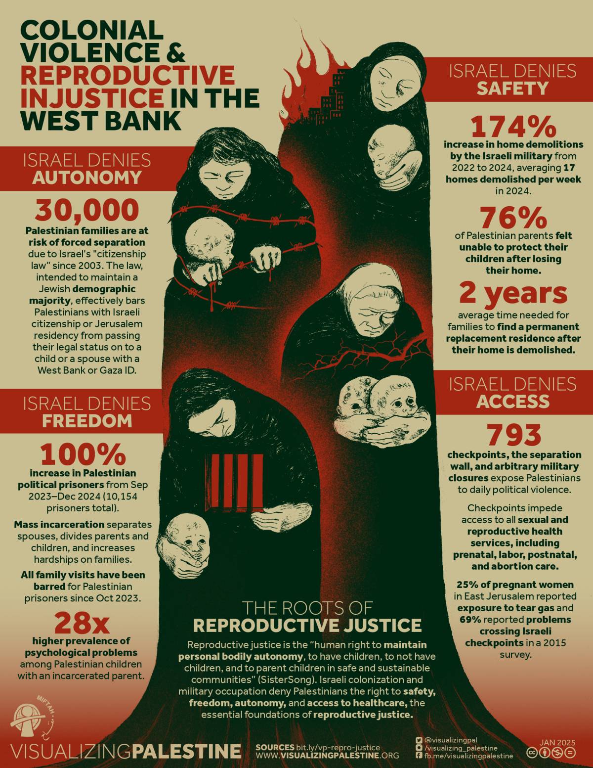 Colonial Violence & Reproductive Injustice in the West Bank