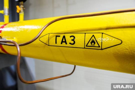 Стратегический союз России и Китая в рамках проекта «Сила Сибири-2»