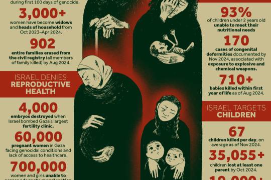 Genocide & Reproductive Injustice in Gaza